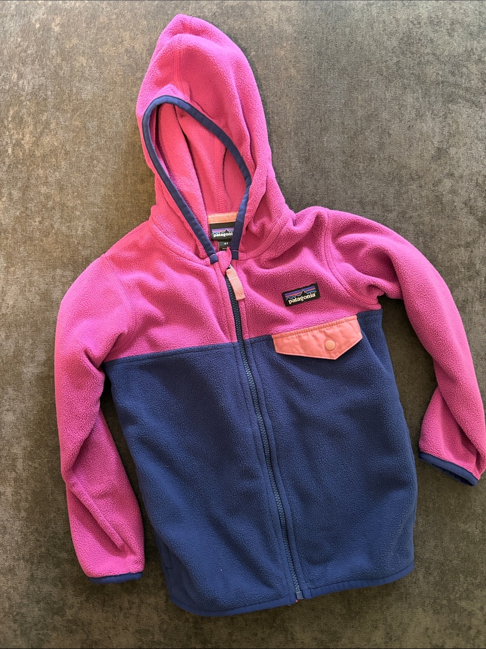 Patagonia 4T Fleece Jacket